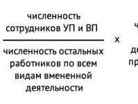 Основное направление деятельности по оквэд