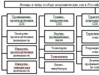 Posebne ekonomske zone Rusije: opis